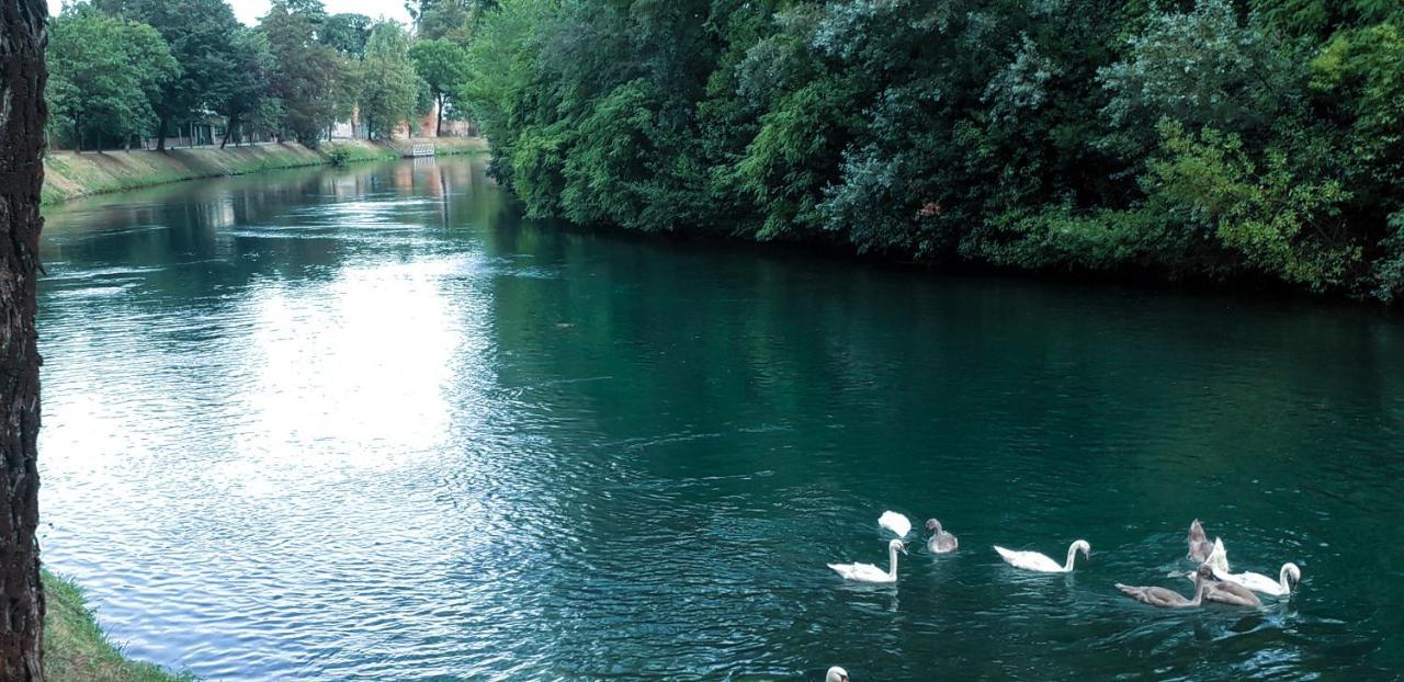 Ampio APPARTAMENTO VICINO AL CENTRO DI TREVISO, PARCHEGGIO GRATUITO Exterior foto