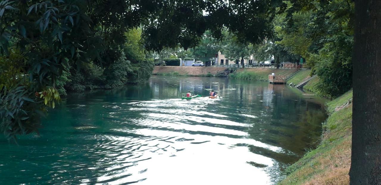 Ampio APPARTAMENTO VICINO AL CENTRO DI TREVISO, PARCHEGGIO GRATUITO Exterior foto